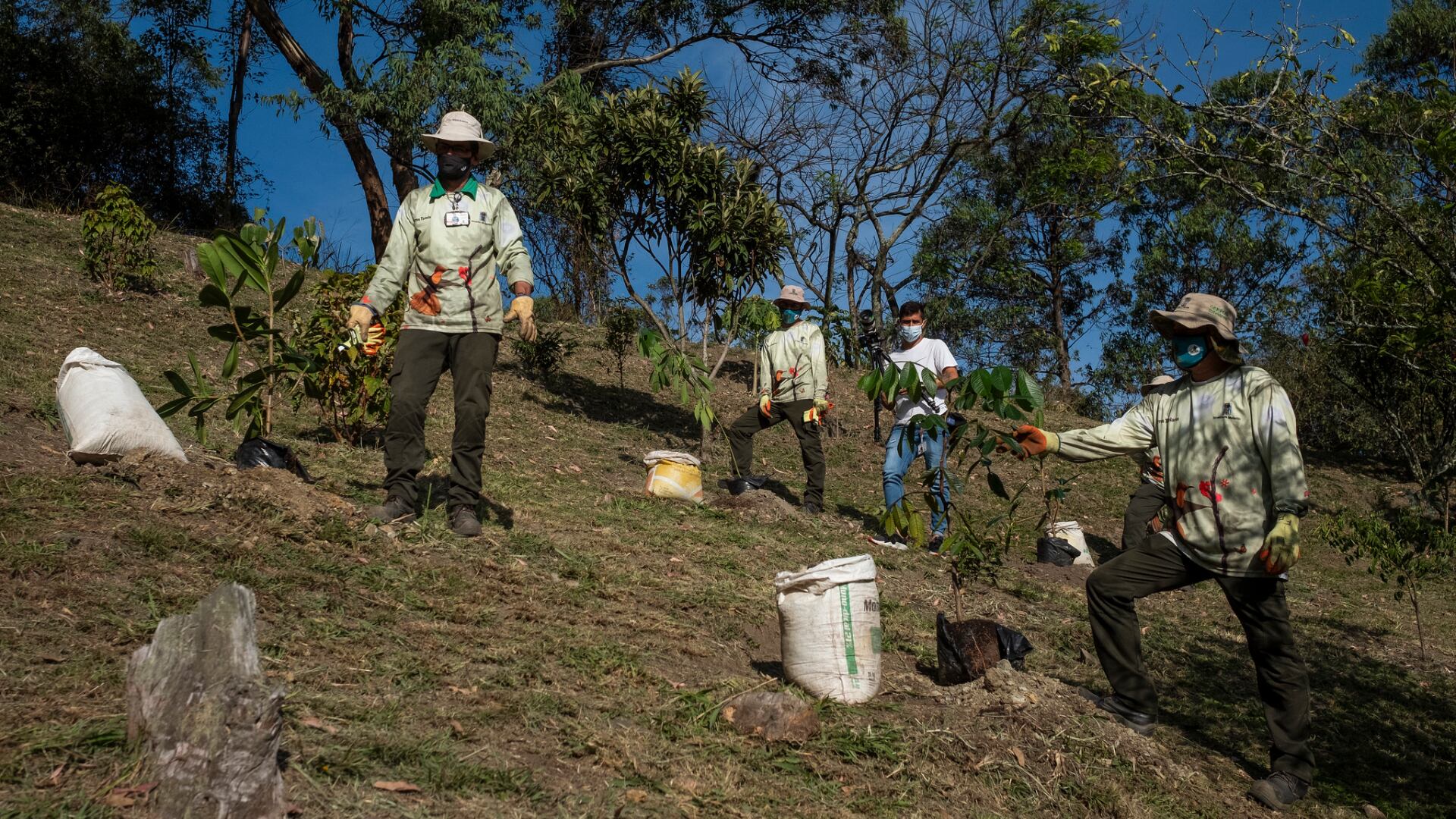 El Volador fue declarado Patrimonio Histórico y Natural de la Nación en 1992 y Bien de Interés Cultural de la Nación en 1998.