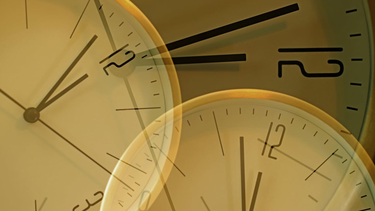 Esto es lo que se debe hacer para manifestar en el portal de 12 de diciembre.