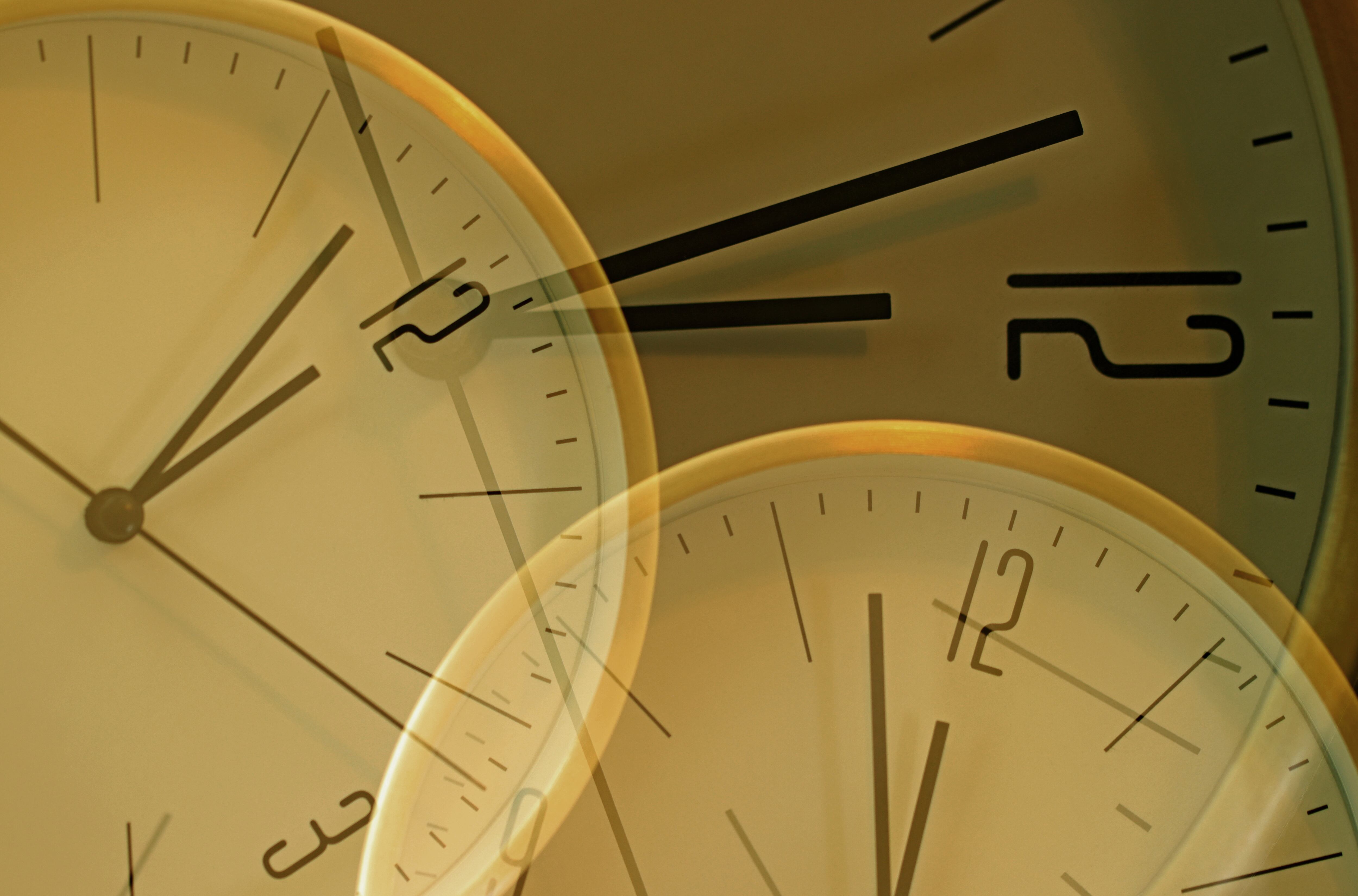 Esto es lo que se debe hacer para manifestar en el portal de 12 de diciembre.