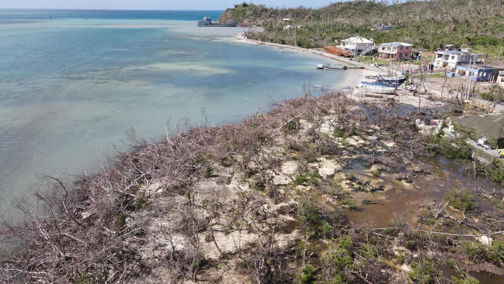 El paso del huracán Iota, en noviembre del año pasado, afectó gravemente la infraestructura, la fauna y la flora de la isla de Providencia.