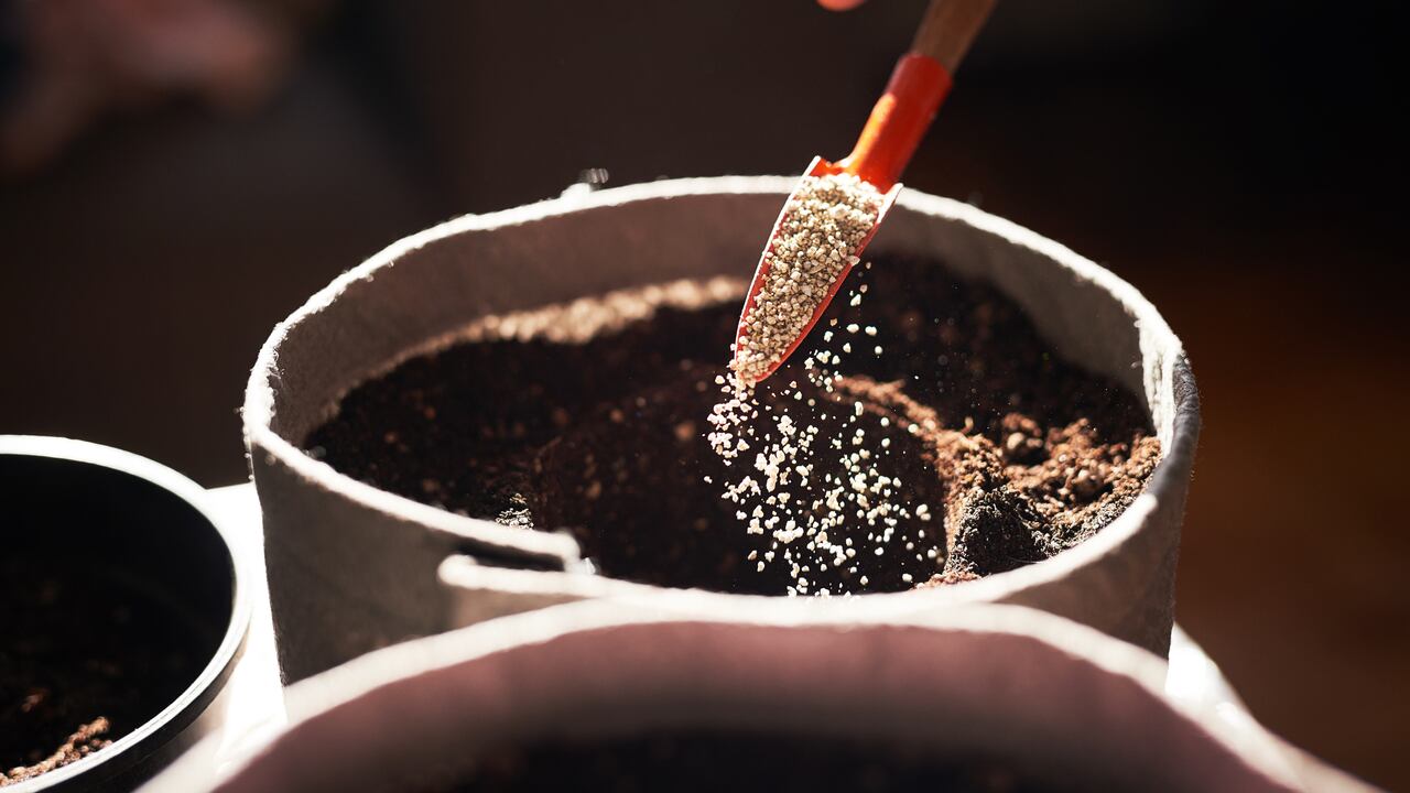 Propiedades nutritivas para impulsar el crecimiento y la floración de plantas como la lengua de suegra y los tulipanes.