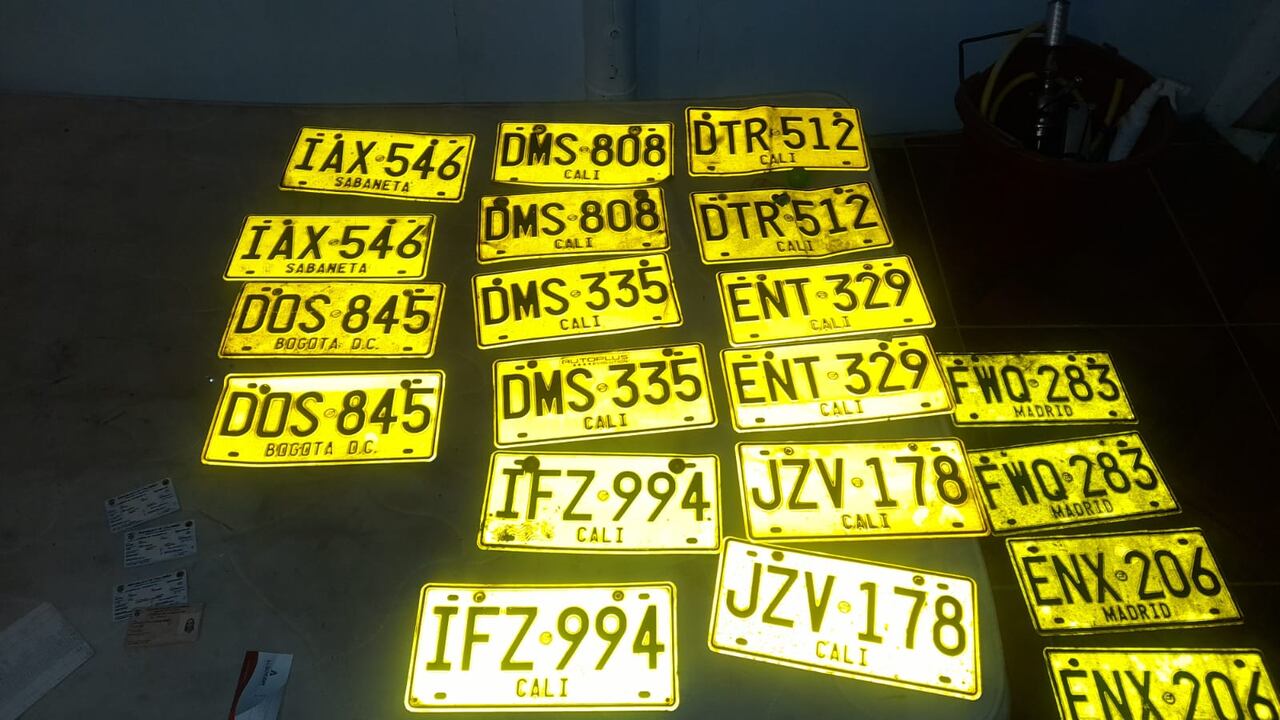 Esta es la colección de placas que tenía en su poder alias Celeste.