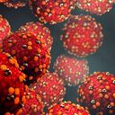 Foto de referencia sobre virus del simio