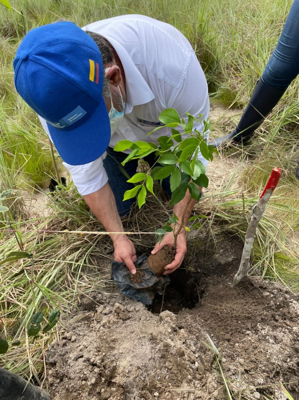 programa Bosque de Vida