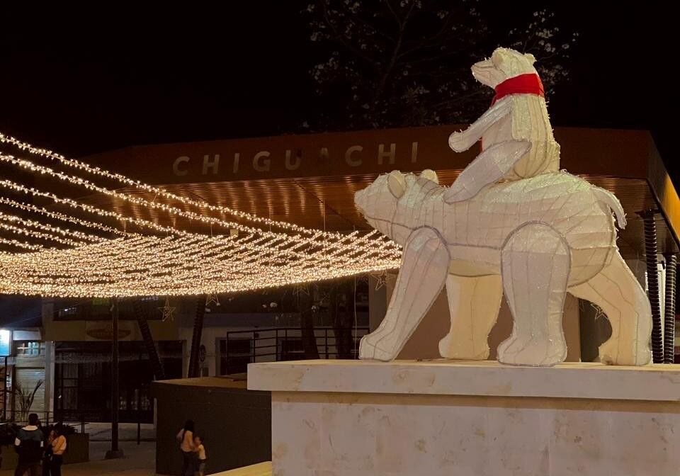 Cada municipio del departamento tiene planeada una interesante agenda para este diciembre. Anímese a recorrer la Ruta Navideña.