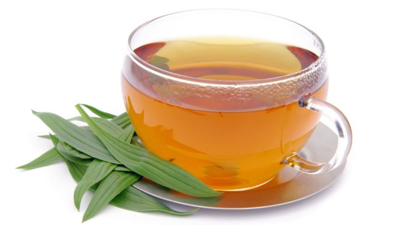 De acuerdo con la Biblioteca Nacional de Medicina de Estados Unidos (NIH, por sus siglas en inglés), algunas investigaciones sugieren que el eucalipto puede tener actividad contra bacterias y hongos.