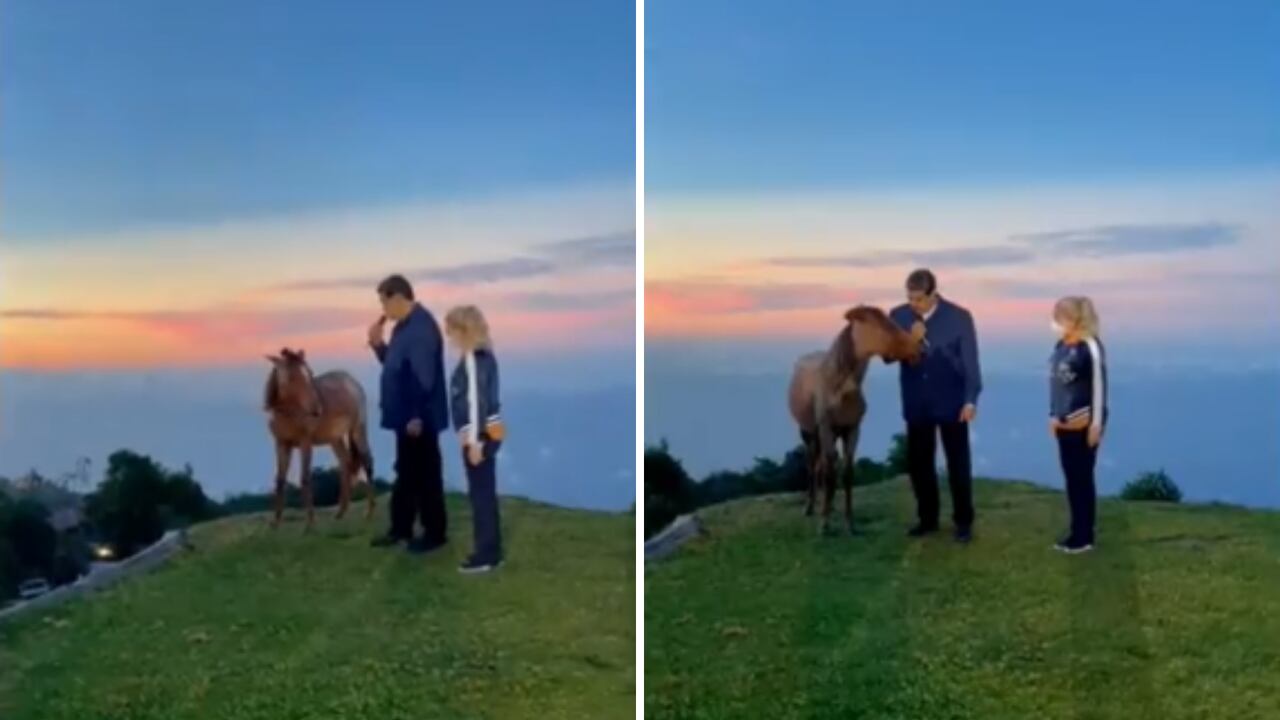Como si estuviera conversando con una persona, Nicolás Maduro se dirigió a un potro en pleno cerro de Caracas.