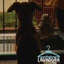 Imagen del proyecto "Con la lavadora de fondo" de RTVC. Cortesía de la entidad.