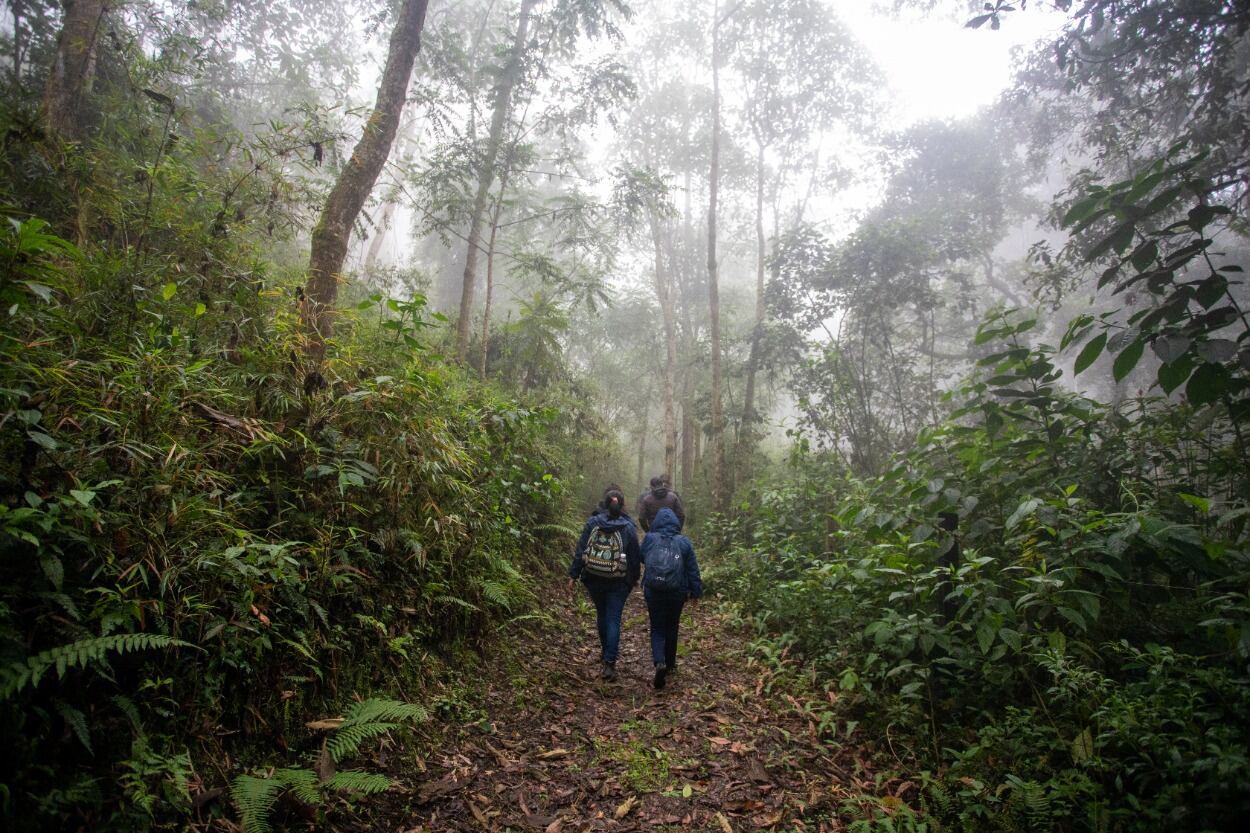 Otra de las acciones tiene que ver con los esfuerzos para declarar cerca de 50.000 hectáreas de zonas como reservas naturales en ecosistemas estratégicos del país.