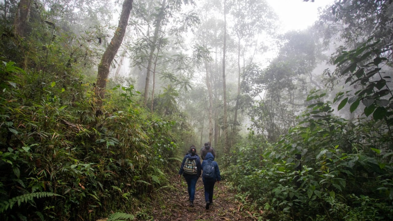 Otra de las acciones tiene que ver con los esfuerzos para declarar cerca de 50.000 hectáreas de zonas como reservas naturales en ecosistemas estratégicos del país.