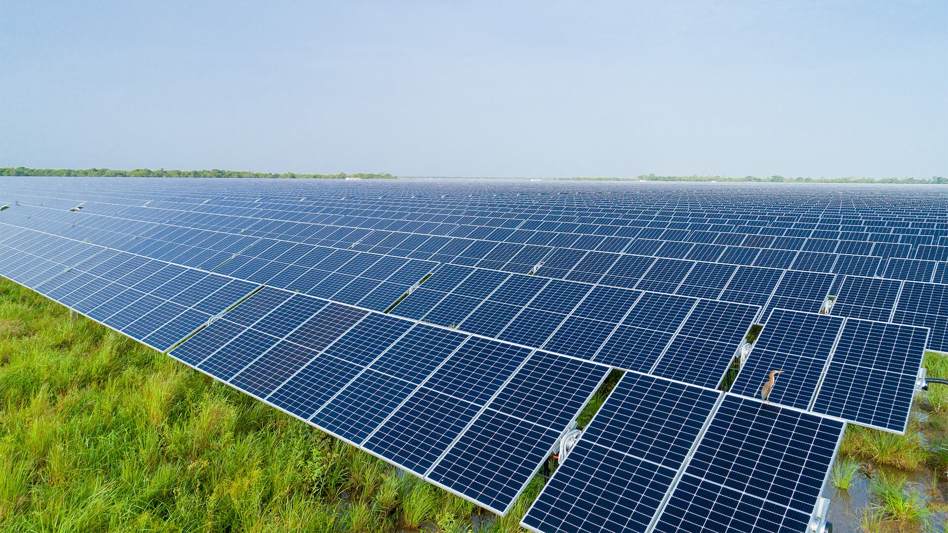 70% de la energía que consume que consume el país proviene de fuentes hídricas, el 20% de térmicas y el 10% restante de fuentes no convencionales.