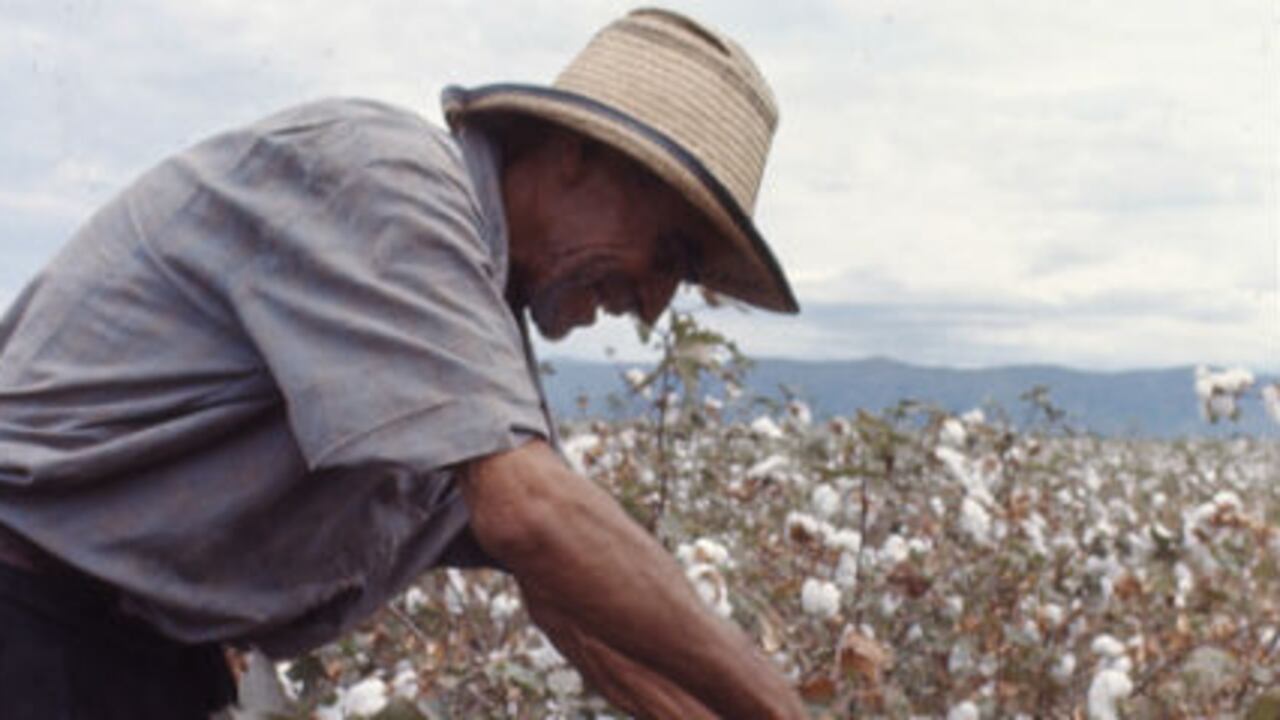 Mientras el sector agropecuario pide atención, el presupuesto del sector podría reducirse sustancialmente.
