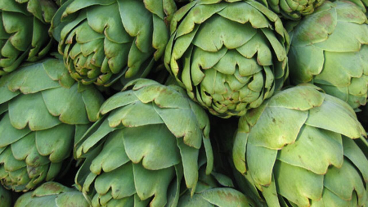 La alcachofa es una hierba que tiene múltiples beneficios al cuerpo humano.