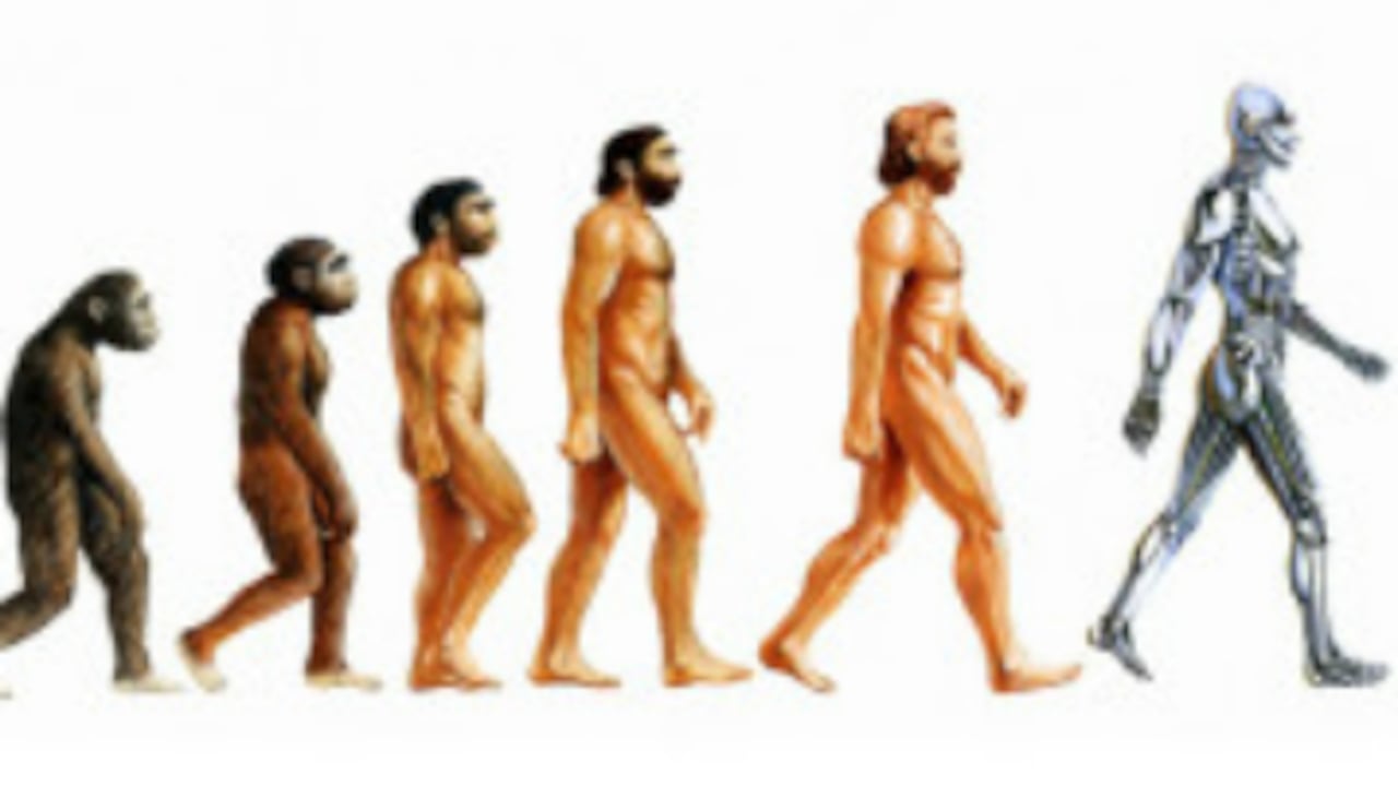 la evolución del homo sapiens ha sido pausada.