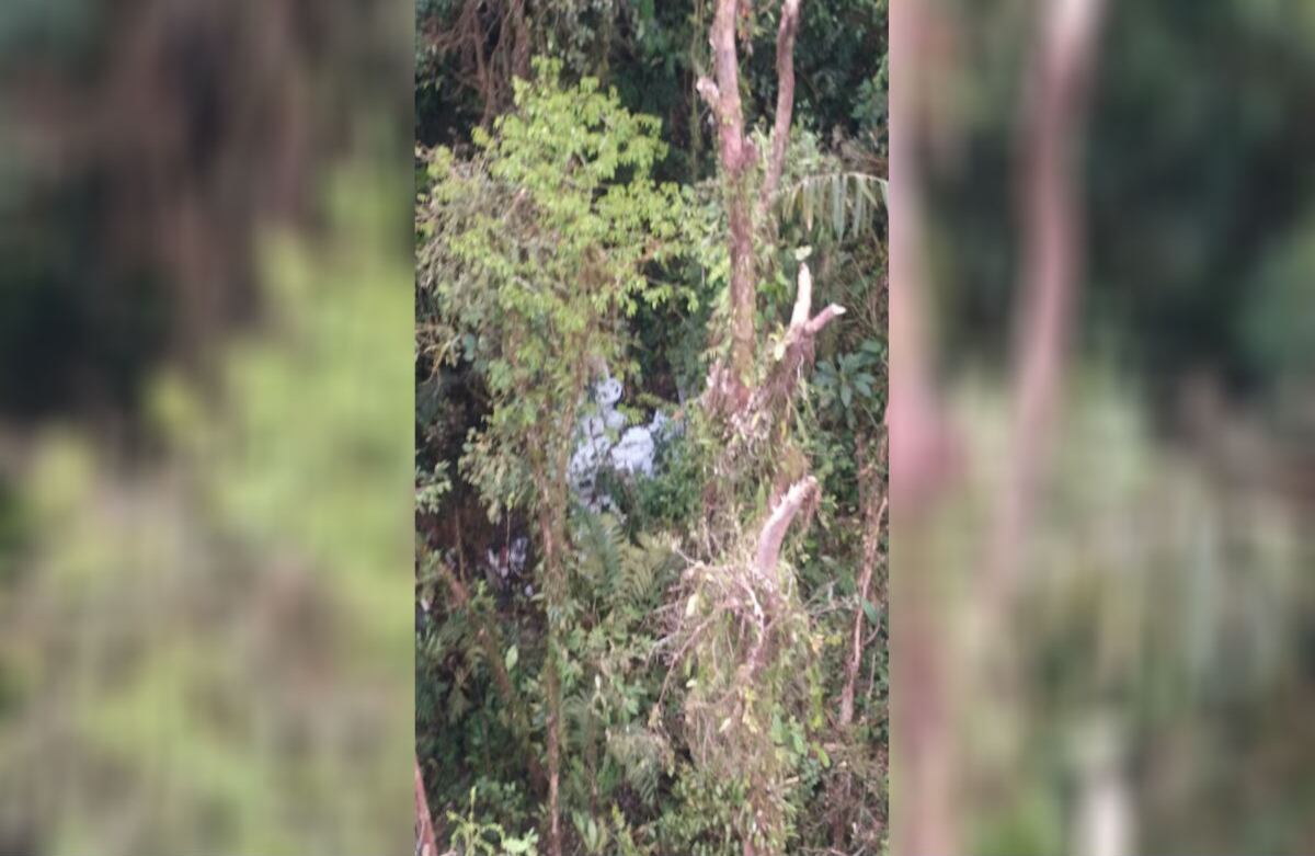 Foto: Cortesía Fuerza Aérea Colombiana