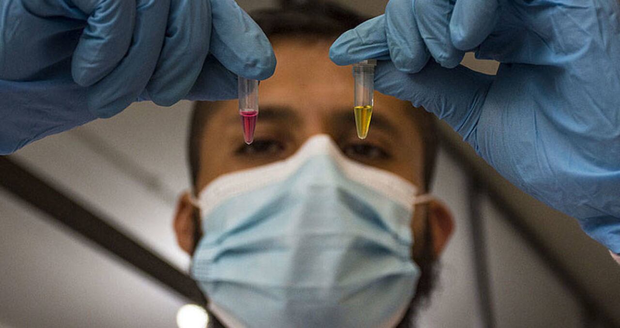 Un equipo de docentes, estudiantes y el Grupo de Investigación en Hormonas de la Universidad Nacional de Colombia (Unal) desarrolló una solución química de bajo costo y fácil reproducción que puede detectar en minutos los resultados de pruebas de coronavirus e inactivar el virus de forma inmediata.