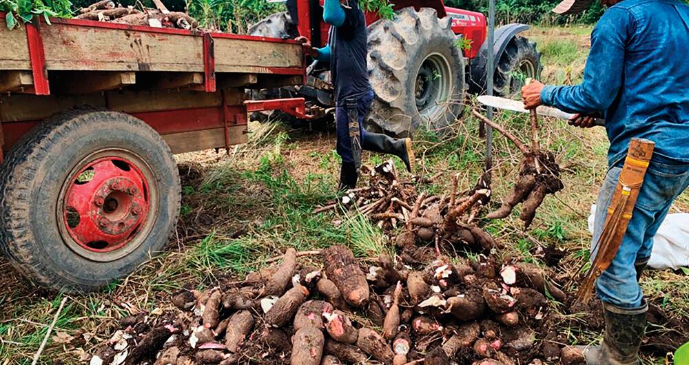 Hoy trabajan cinco personas –dos de las cuales están de vacaciones–, pero faltarían otras dos para ponerla a funcionar debidamente, le dijo a SEMANA un lugareño que vive cerca del complejo turístico. 