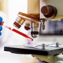 En Colombia, los casos de VIH vienen aumentando cada año. Mientras que en 2012 se presentaron 5.275, en 2023 esta cifra casi se triplicó hasta los 14.670 nuevos reportes.