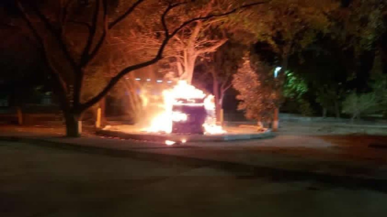 Más de 50 gatos estaban dentro del refugio que fue incinerado