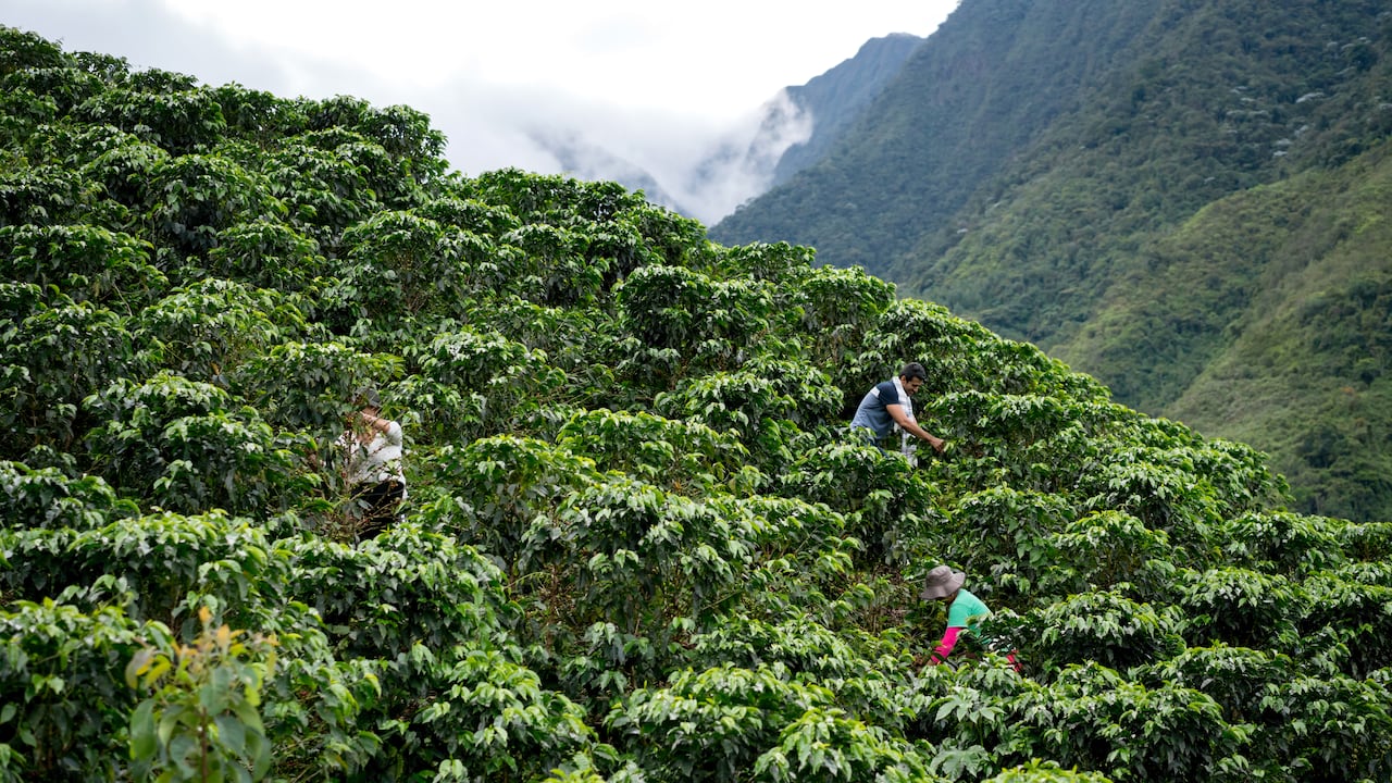 Agro colombiano. Andresr / Getty Images.