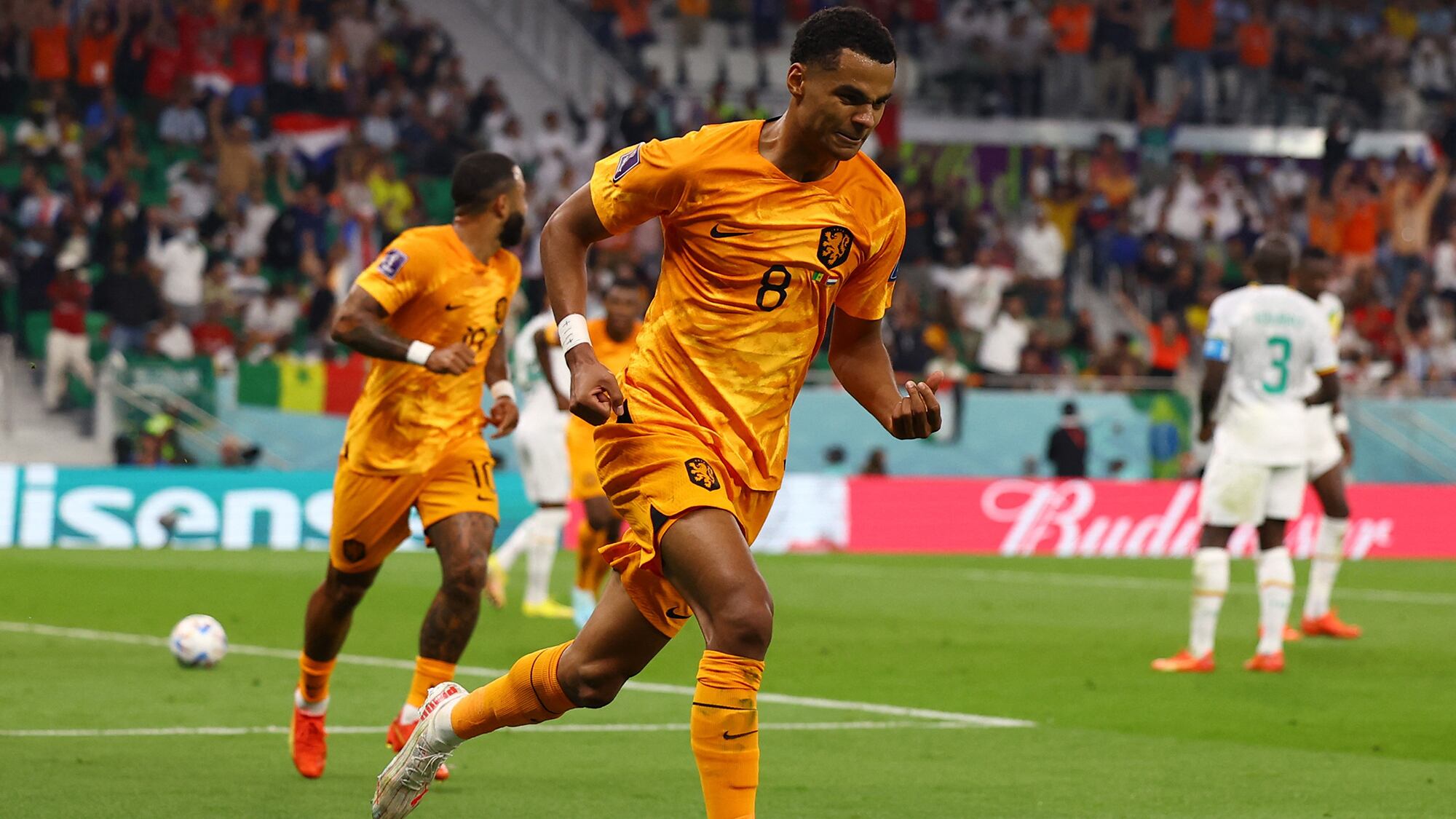 Holanda Países bajos Senegal Qatar 2022