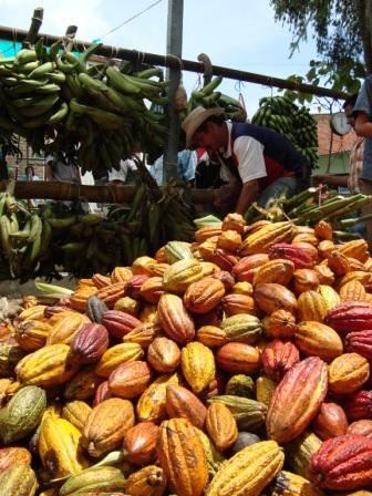 El Carmen de Chucurí, Santander