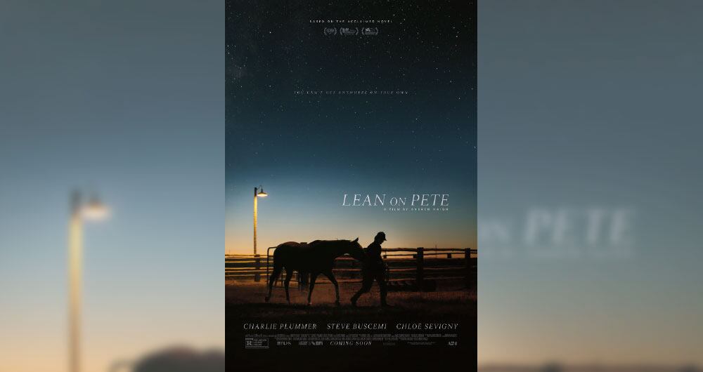 Animales de compañía_3