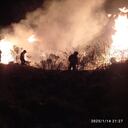 Las llamas iniciaron sobre las 5 de la tarde del martes 14 de enero.