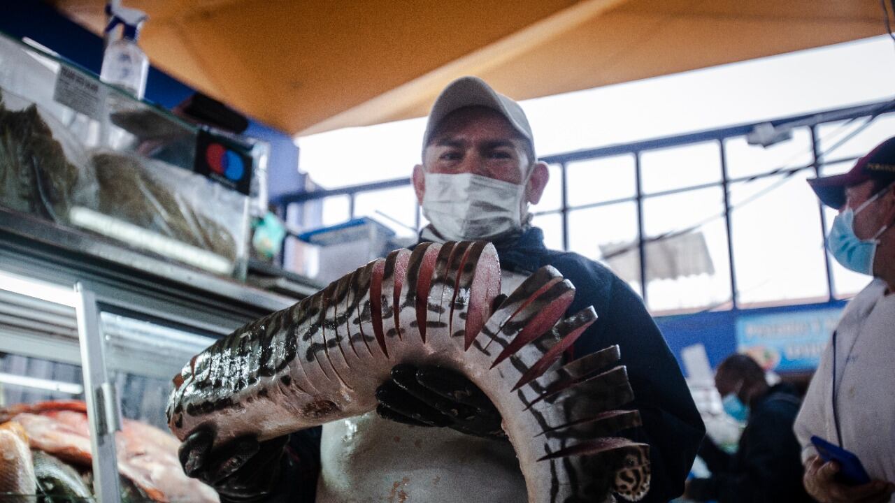 ¿Cómo están los precios del pescado en Semana Santa?