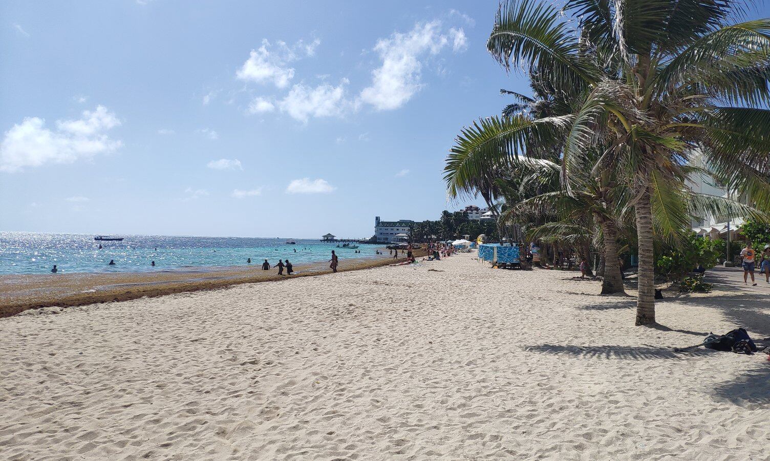 La Acción Cultural Popular busca recursos para instaurar en la isla el programa Escuelas Digitales Campesinas para la Paz, que beneficiaría a 450 personas.