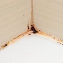 La acumulación de moho y óxido en los orificios de la ducha puede afectar la presión del agua; aprenda a limpiar estos depósitos de forma segura y eficaz.