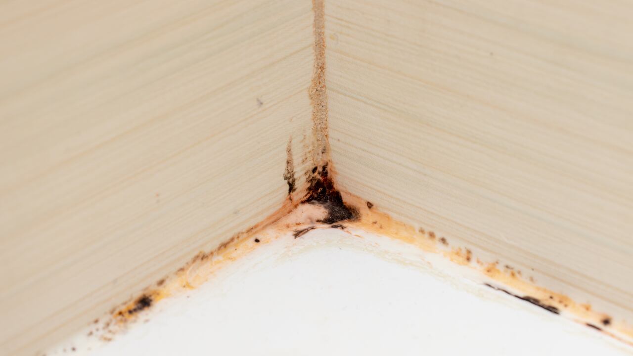 La acumulación de moho y óxido en los orificios de la ducha puede afectar la presión del agua; aprenda a limpiar estos depósitos de forma segura y eficaz.