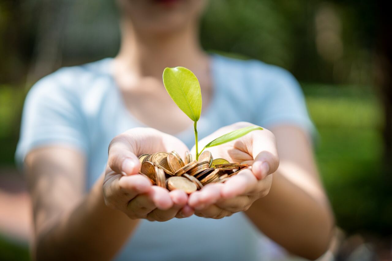 ¿Cómo activar la planta china del dinero para atraer abundancia en 2024, según el Feng shui?