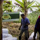 Los productos que más se venden fuera del país son:: café, flores, aceite crudo de palma, banano y aguacate