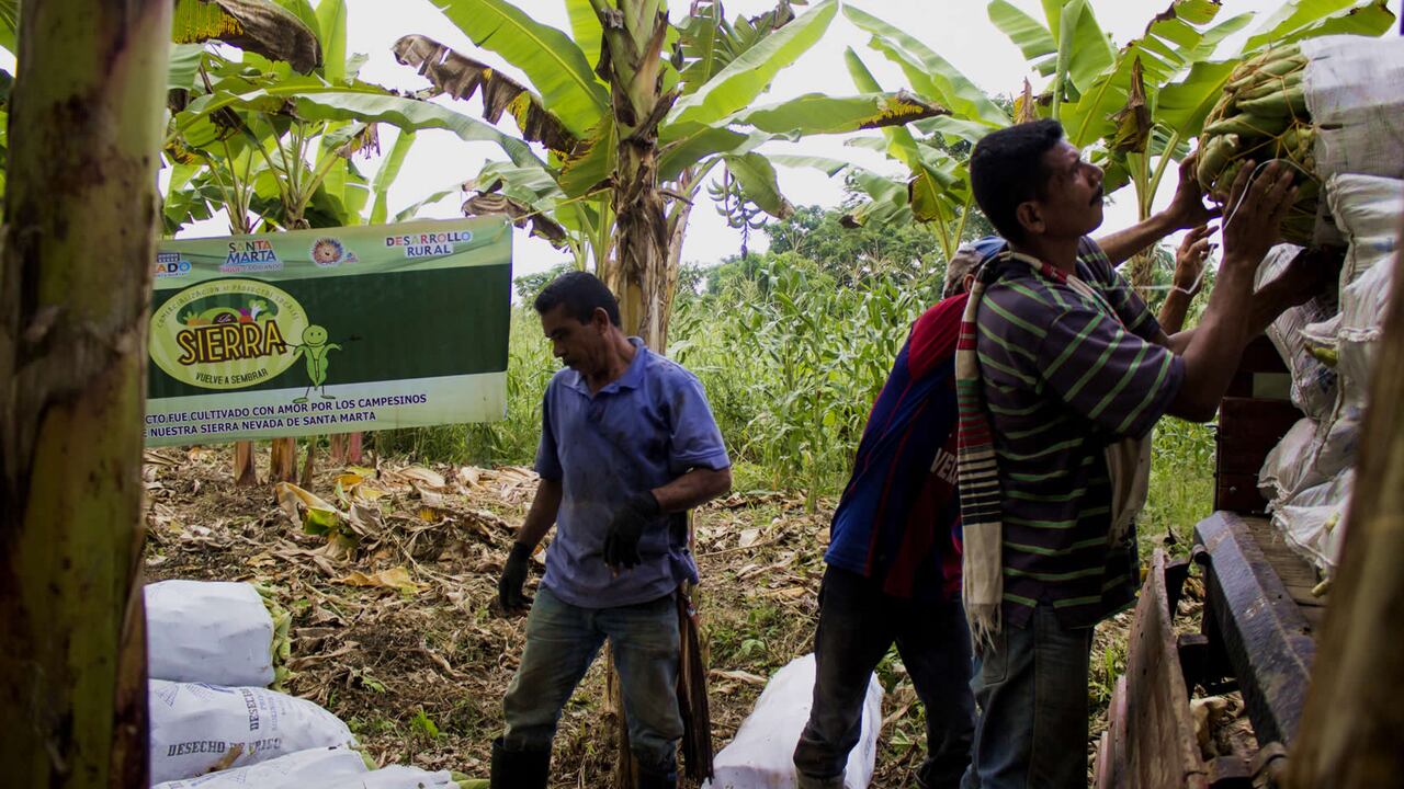 Los productos que más se venden fuera del país son:: café, flores, aceite crudo de palma, banano y aguacate