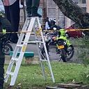 El cuerpo fue encontrado aproximadamente a las 5:00 a.m.