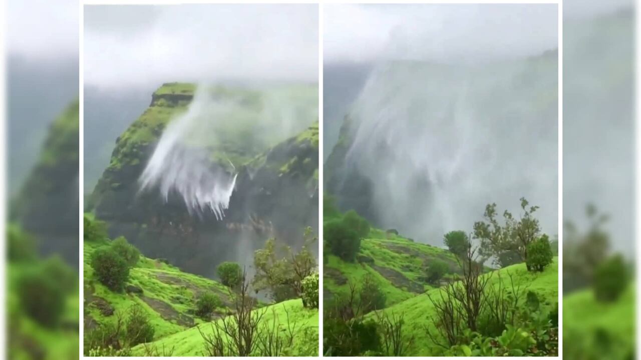 Esto solo se puede ver en épocas especificas del año