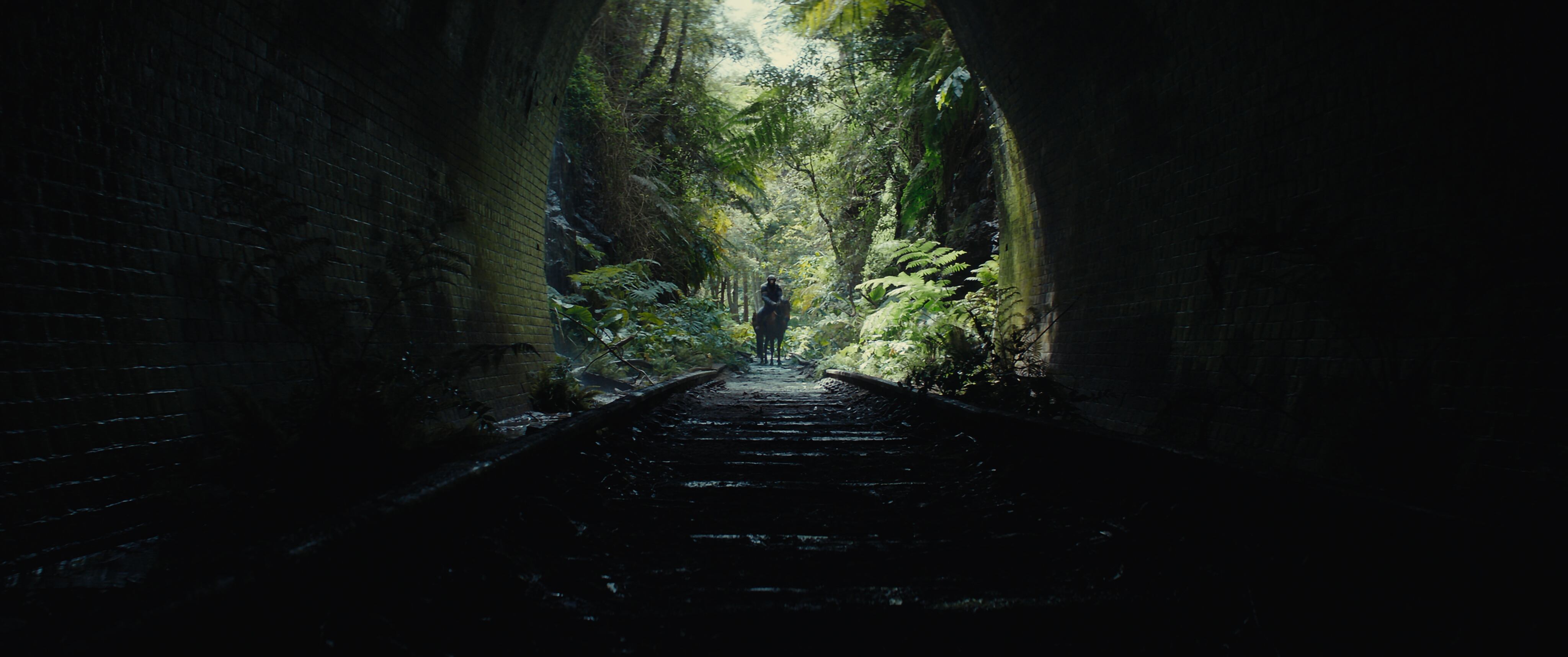 En KINGDOM OF THE PLANET OF THE APES, la atmósfera es digna de la saga.