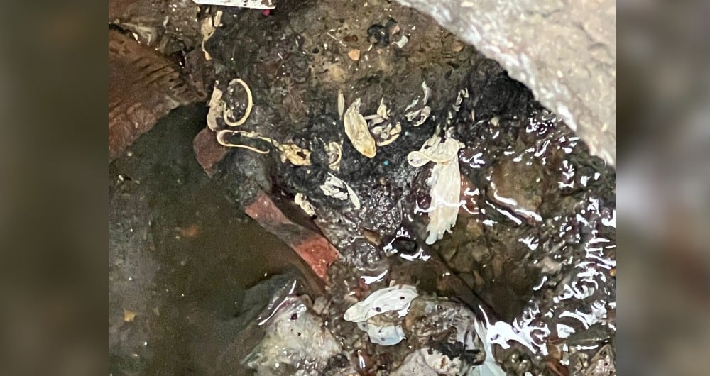 Arrojar condones a los sanitarios puede ocasionar taponamientos e inundaciones. El Centro, la Avenida 1° de Mayo; el Siete de agosto, Las Ferias, la Carrera 15 entre calles 72 y 100; y áreas aledañas a Kennedy Central y Bosa La Estación, son las zonas más afectadas de Bogotá por esta problemática.