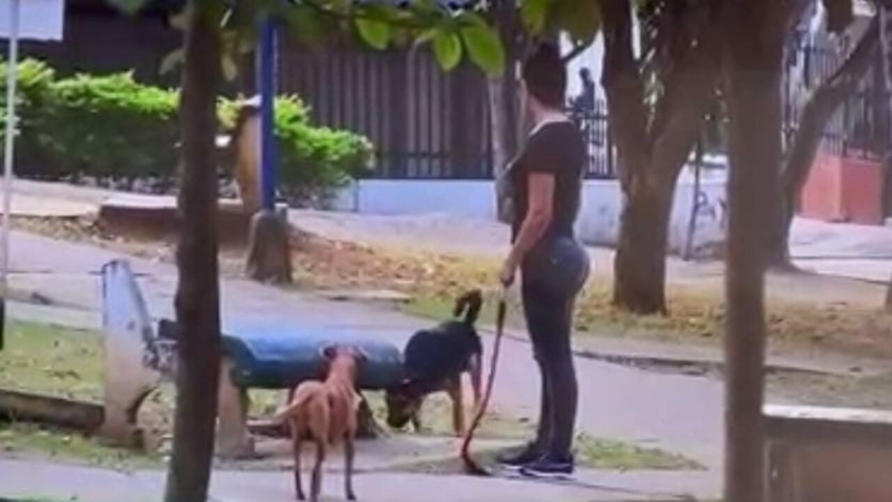 La comunidad se encuentra atemorizada por estos casos de envenenamiento.