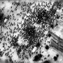 Más de 100 palestinos murieron en el ataque.