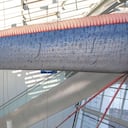 En la cultura japonesa el pez remo es catalogado como el rey del mar