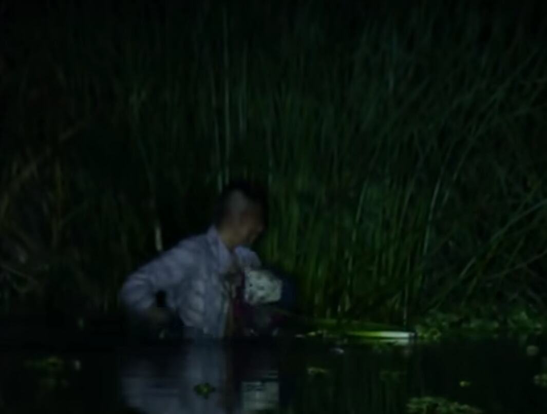 Luna, la mascota de una familia, fue una de las afectadas por el temblor.