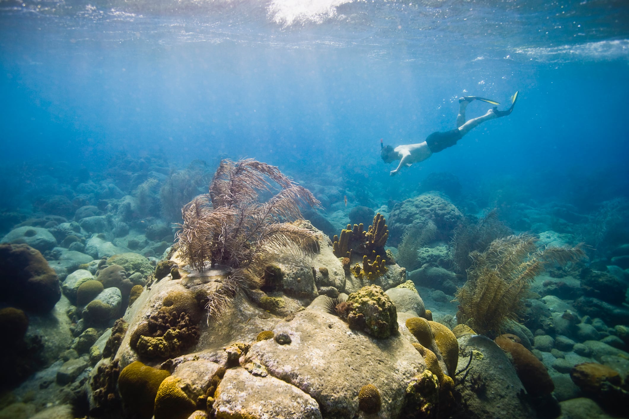El buceo es una de las actividades para desarrollar en Dominica.
