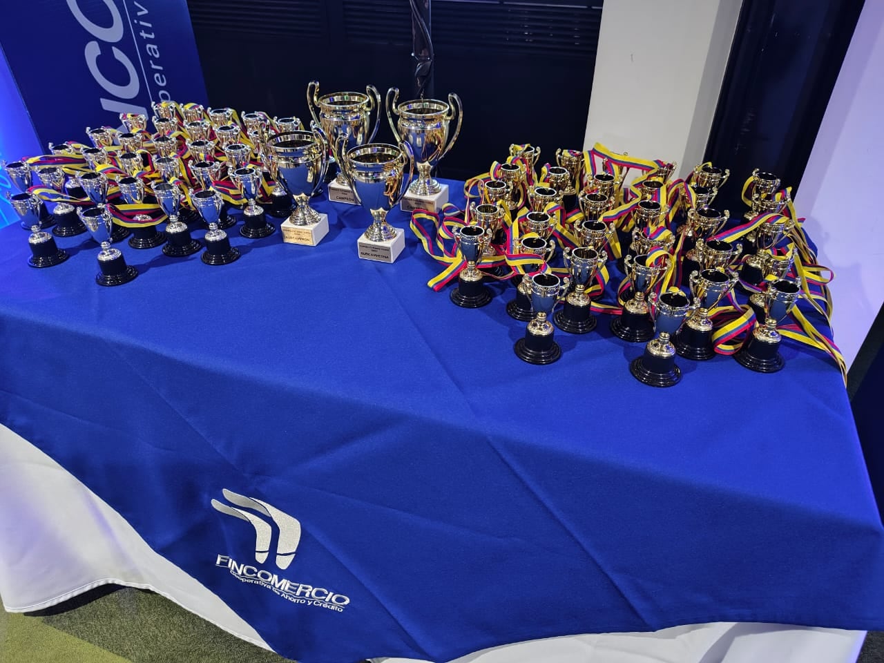 Trofeos que se llevaron los campeones de Futuros Tigres.