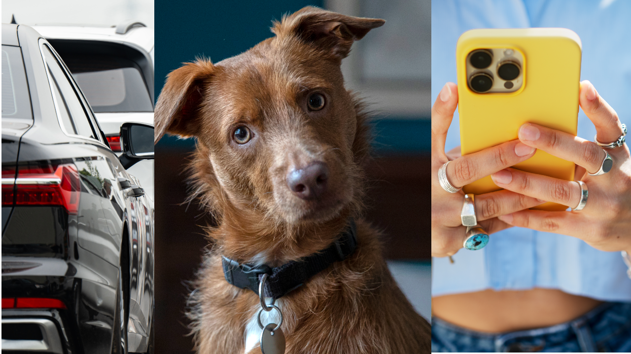 Siga las recomendaciones para ir a votar este domingo 8 de marzo.