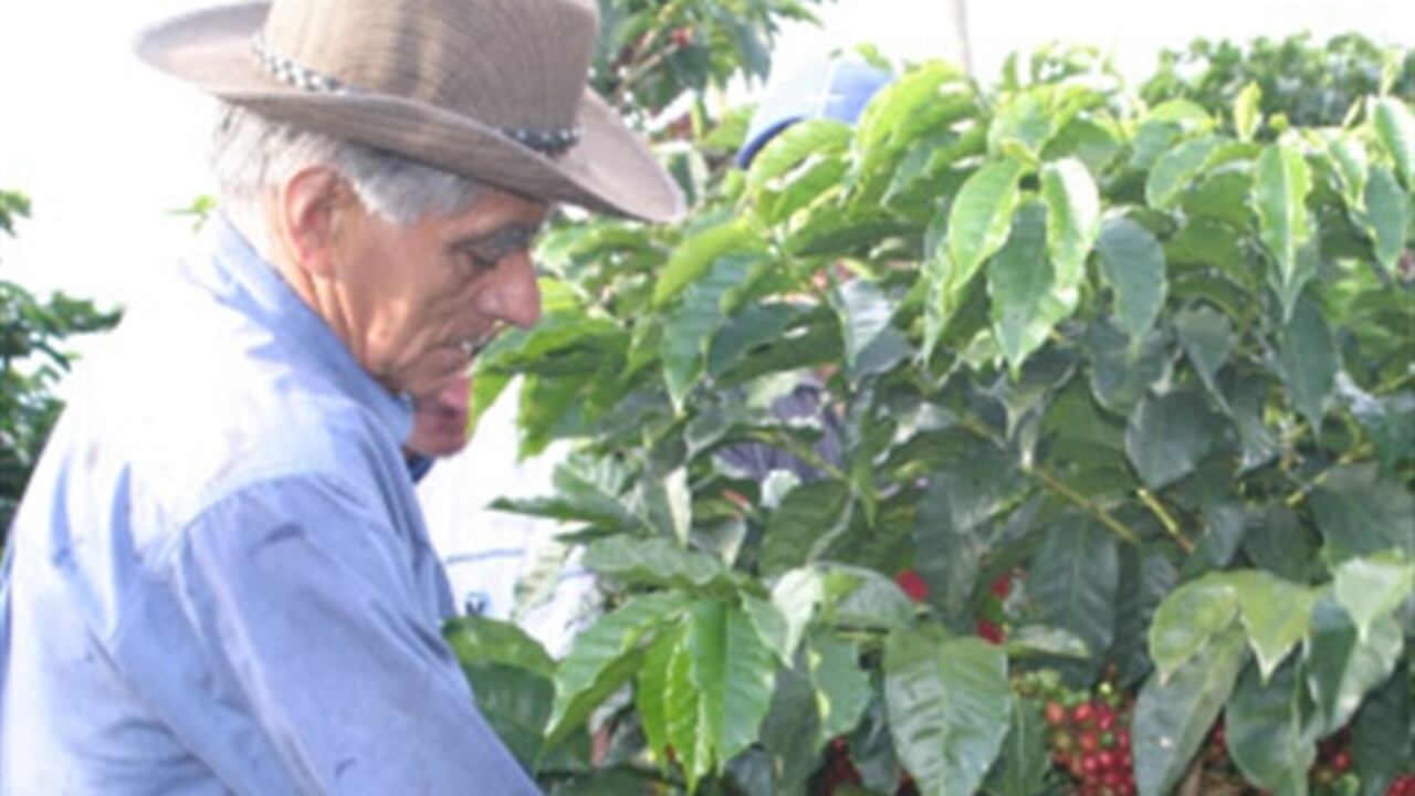 Hay oportunidades en China para el sector agroindustrial