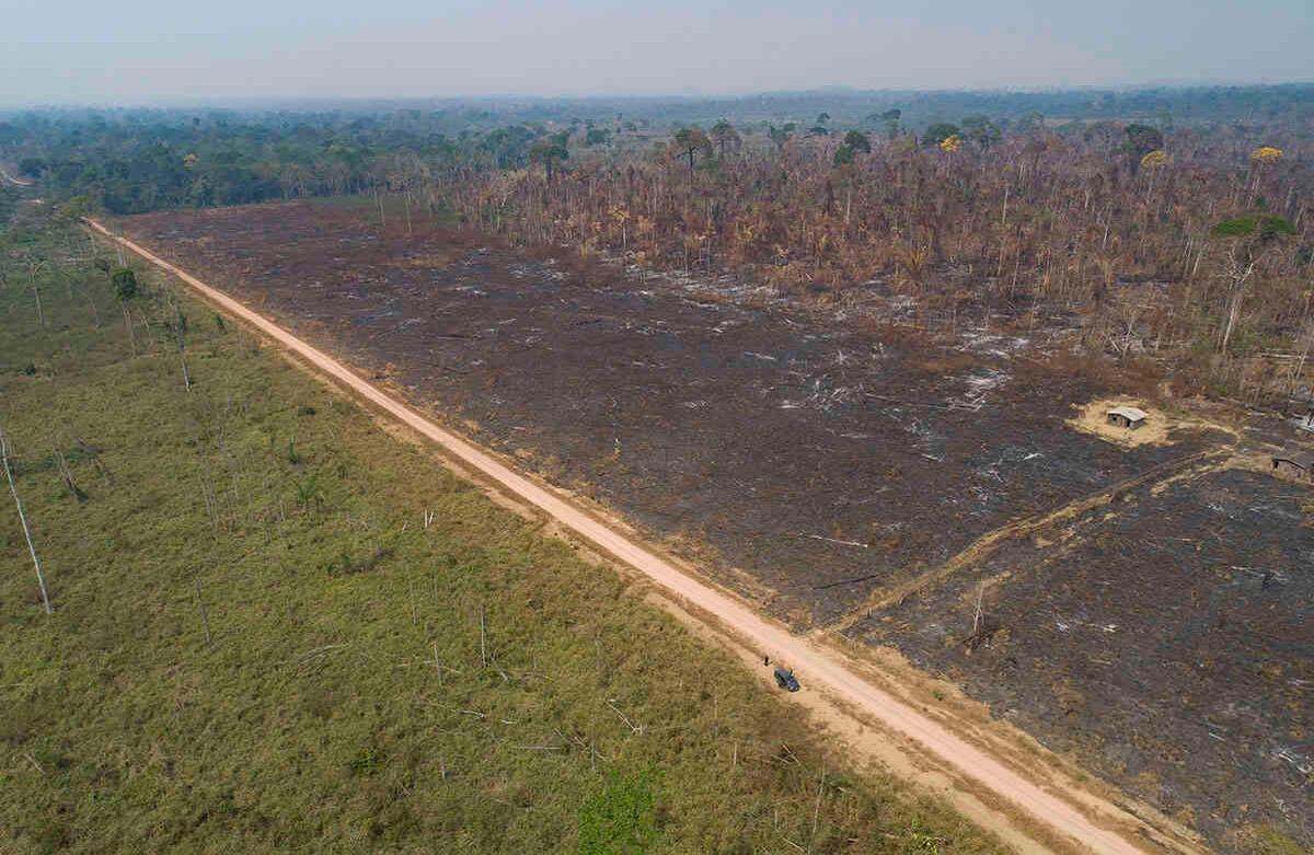 La tierra recientemente quemada y deforestada por ganaderos está vacía cerca de Novo Progresso, estado de Pará, Brasil, el domingo 23 de agosto de 2020. Foto: Andre Penner / AP