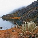 Con las movilizaciones se busca exigir al Gobierno que niegue la licencia ambiental a la empresa Minesa y que se declaren las zonas de alta montaña y sus fuentes hídricas zonas de exclusión de megaminería.