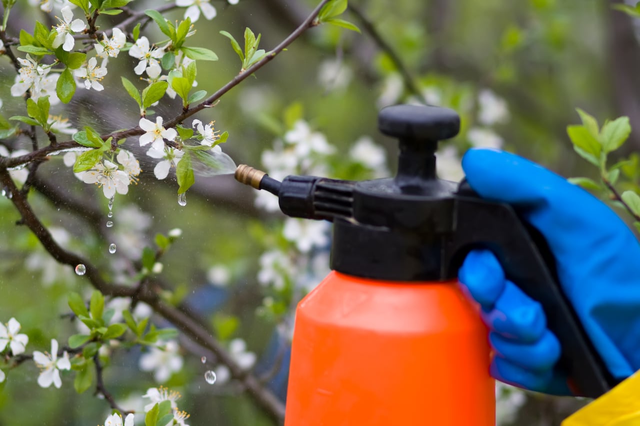 Vinagre para las plantas.